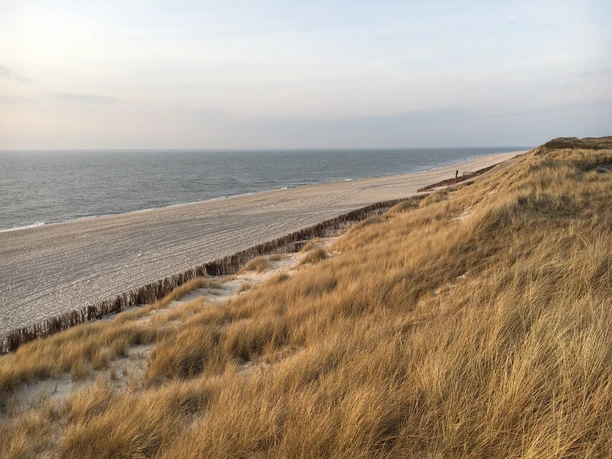 Weststrand im Frühling