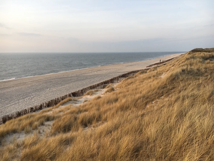 Weststrand im Frühling