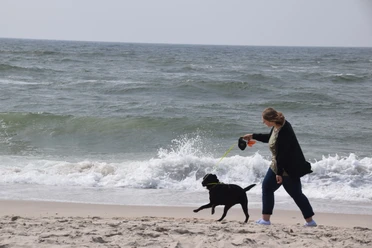 Spaß haben am Strand