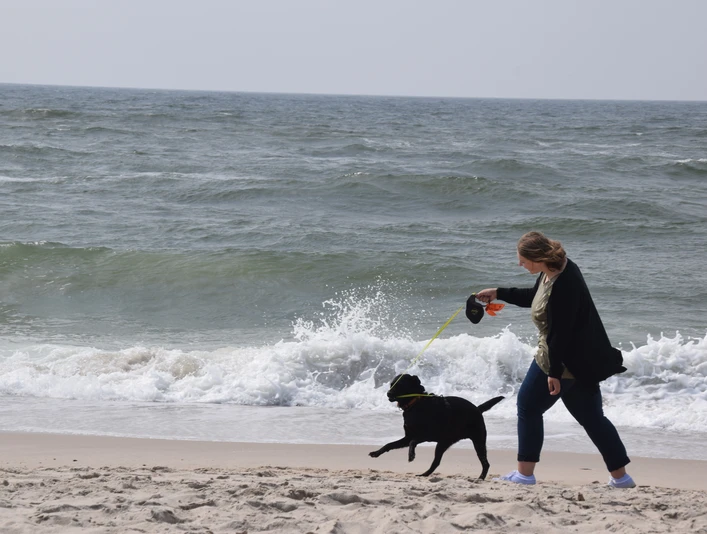Spaß haben am Strand