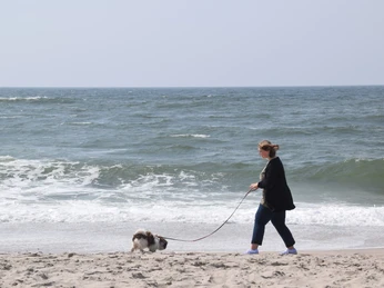 Am Strand gibt es viel zu erleben für Ihren Vierbeiner