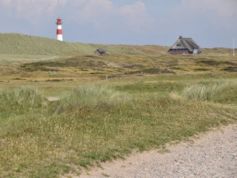 Leutturm List-Ost Blick von der Straße am Ellenbogen zum Leuchtturm List-Ost