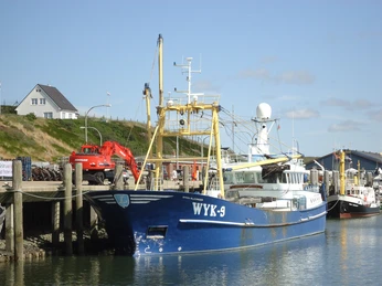 Muschelfischer im Hörnumer Hafen