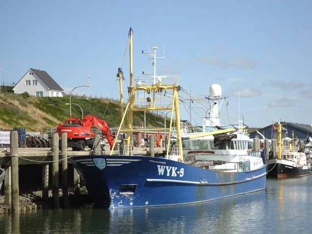 Muschelfischer im Hörnumer Hafen