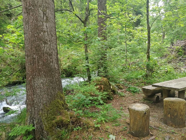 «Grabenweidli» fireplace with seating directly by the stream