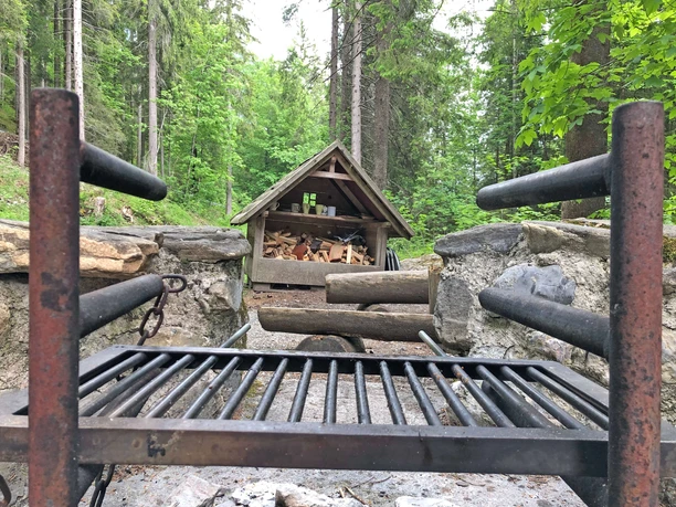 Fireplace with large grill and firewood