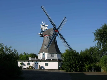 Hochzeitsmühle Friedrichskoog
