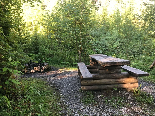 A table and bench in a forest clearing