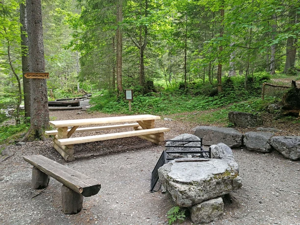 A fire pit in the woods with tables and benches