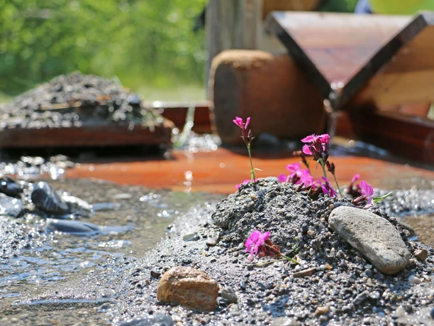 Mud and stones are used for damming