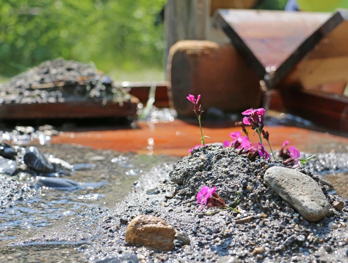 Mud and stones are used for damming