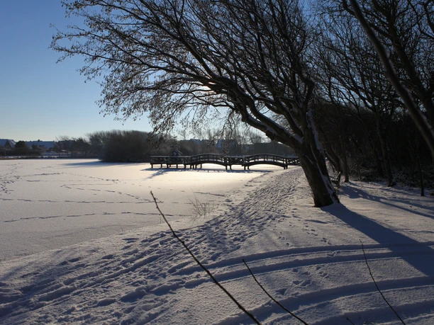 Dorfteich Wenningstedt im Winter