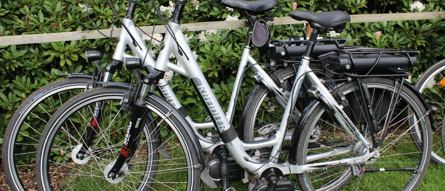Ladestation Zwei silberne Elektrofahrräder stehen nebeneinander auf grünem Rasen, umzäunt von blühenden Hecken.