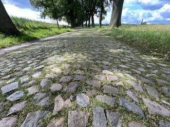 Eine gepflasterte Straße, gesäumt von Bäumen und umgeben von grünen Feldern unter einem blauen Himmel.