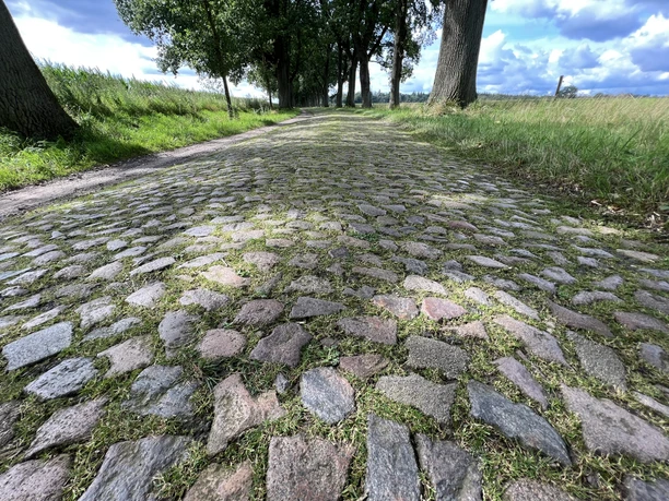 Eine gepflasterte Straße, gesäumt von Bäumen und umgeben von grünen Feldern unter einem blauen Himmel.
