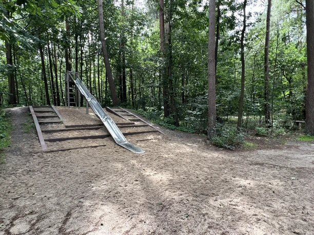A slide in the woods, surrounded by tall trees, stands on a sandy playground surface.
