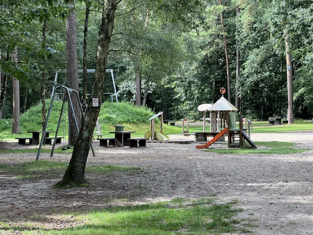 Spielplatz im Wald mit Rutsche, Schaukeln und Holzkletterstrukturen, umgeben von Bäumen und Sandboden.