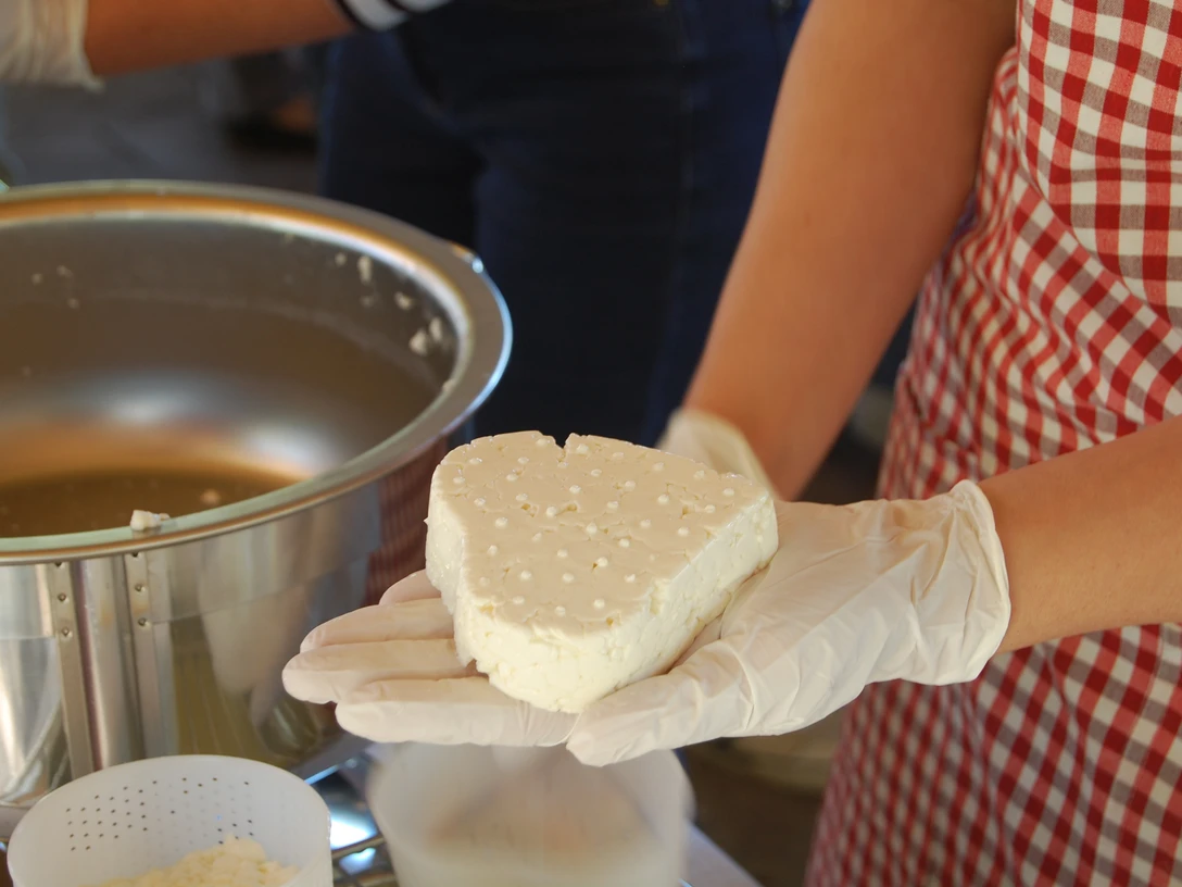 Käseschule-Heidetal