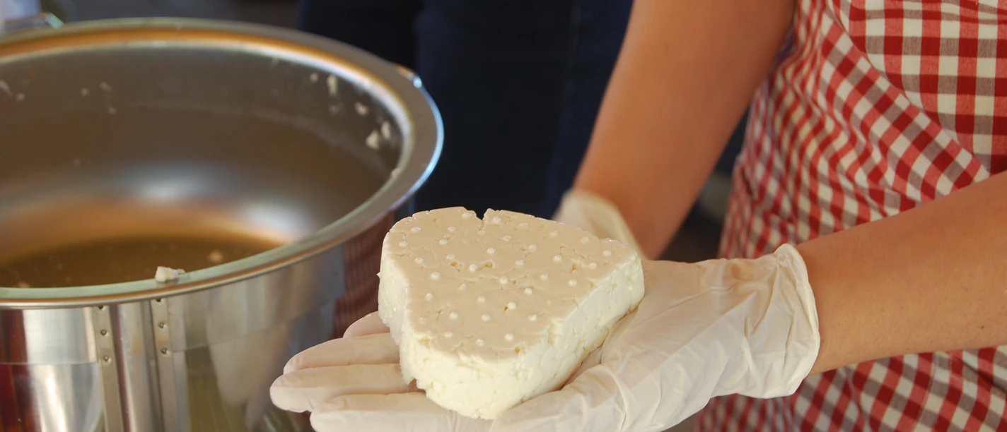 Käseschule-Heidetal