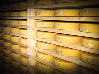 Le bonheur dans un magasin de fromage plein