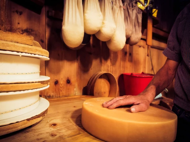 Fabrication du fromage et soins Une meule de fromage repose sur la table en bois, une main caresse le fromage