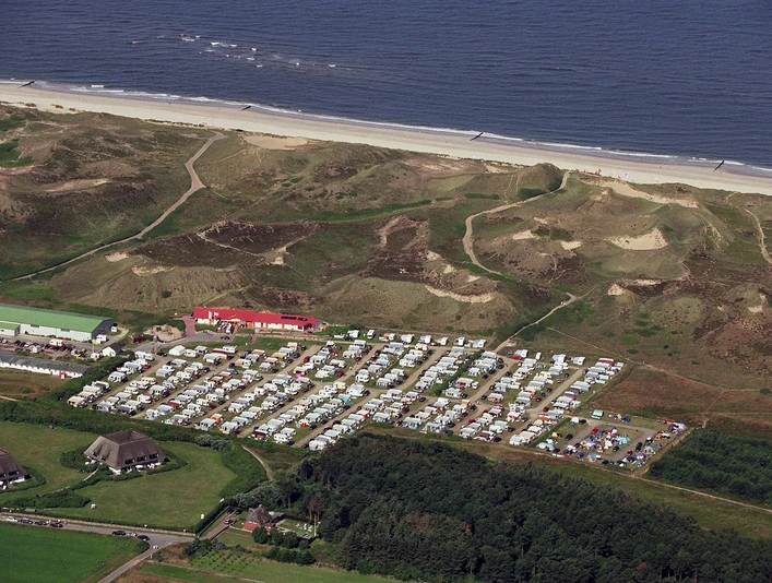 Wald am Campingplatz