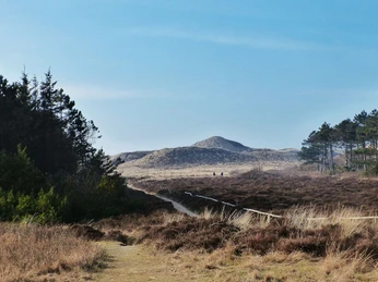 Heide und Wald zwischen Wenningstedt und Kampen