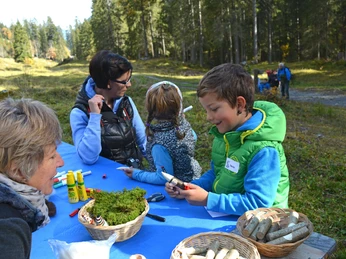 Bastle lustige Dinge