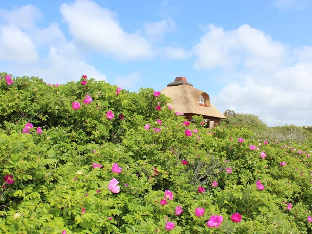Haus in der Kersig-Siedlung