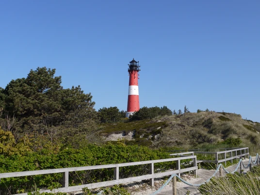 Wäldchen am Leuchtturm