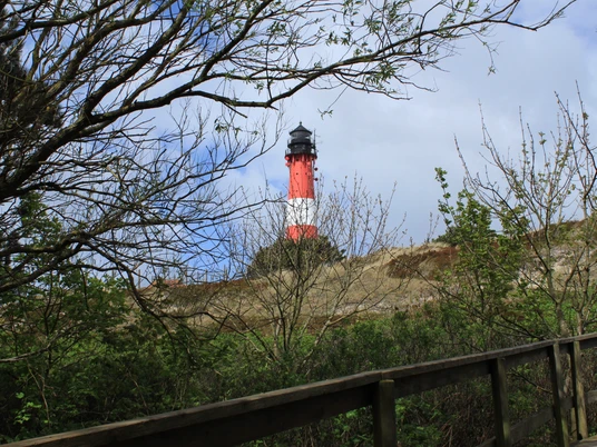 Blick auf den Hörnumer Leuchtturm vom Wäldchen