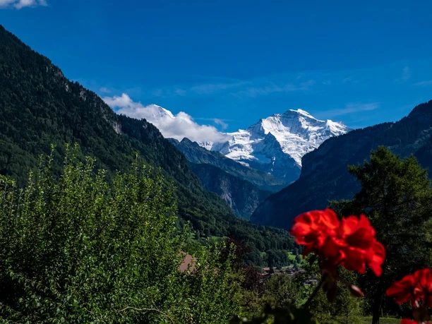 interlaken-trinkhalle-rugen-blumen-sommer