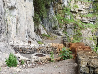 wilderswil-ruine-rothenfluh-braetelstelle-fruehling-wanderweg