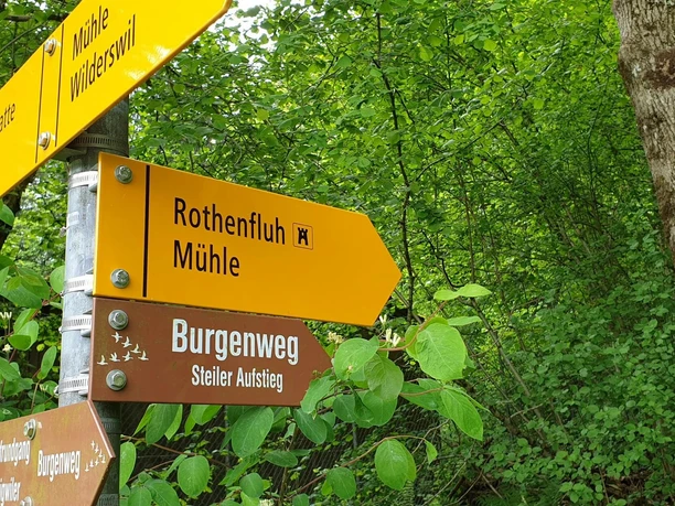 wilderswil-wegweiser-ruine-rothenfluh-fruehling-wanderung