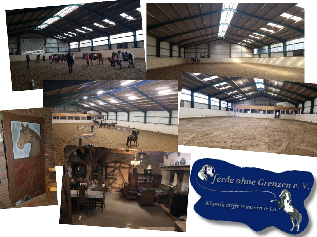 Pferde ohne Grenzen e.V.