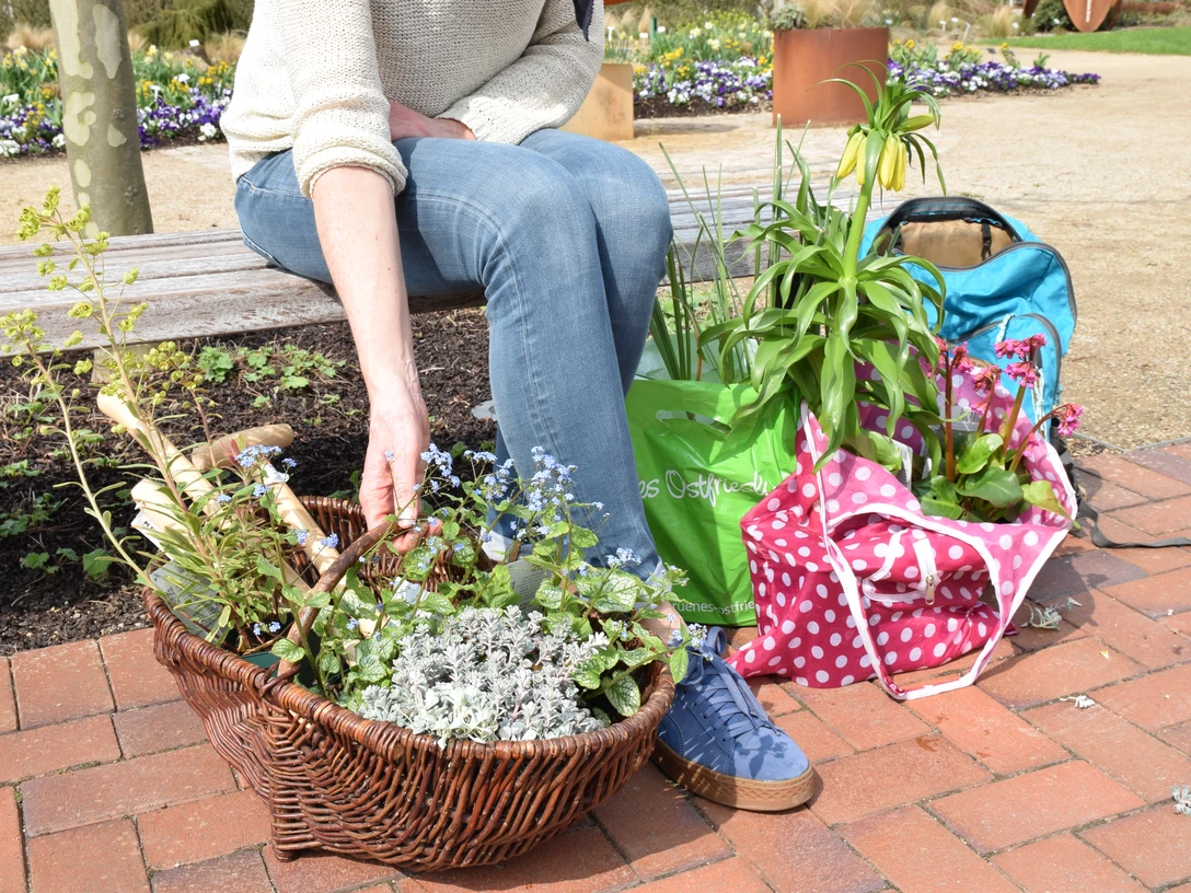 pdg_nachhaltiger_einkauf_pflanzenwelten