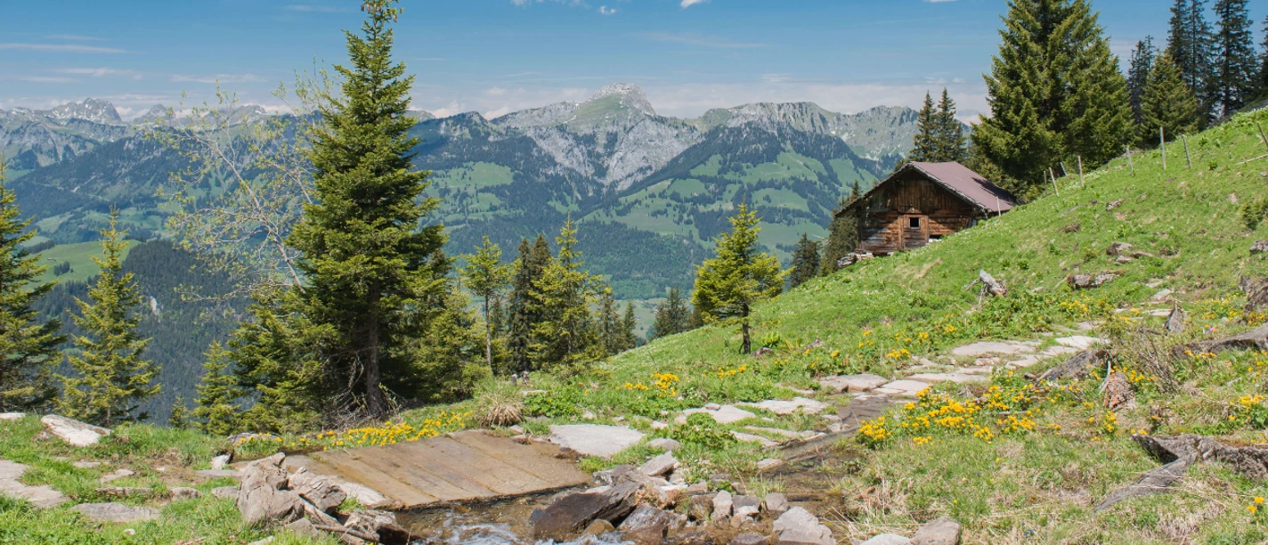 On the Tschipparellen Alp with a view of the Stockhorn range Mountain path leads over a small footbridge, in the background mountains of the Stockhorn range and a wooden hut