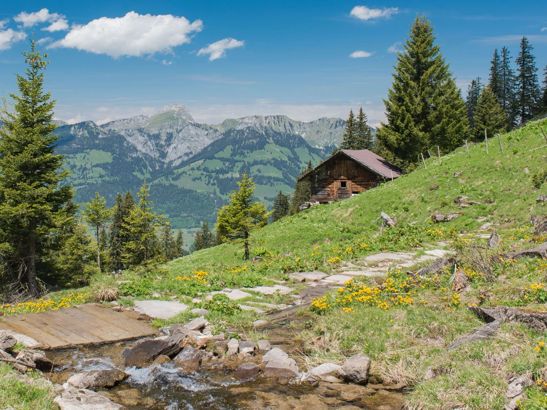 Sur l'alpage de Tschipparellen avec vue sur la chaîne du Stockhorn Un chemin de montagne mène sur une petite passerelle, avec en arrière-plan les montagnes de la chaîne du Stockhorn et une cabane en bois.