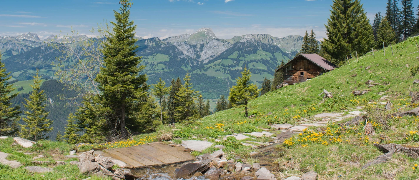 Sur l'alpage de Tschipparellen avec vue sur la chaîne du Stockhorn Un chemin de montagne mène sur une petite passerelle, avec en arrière-plan les montagnes de la chaîne du Stockhorn et une cabane en bois.