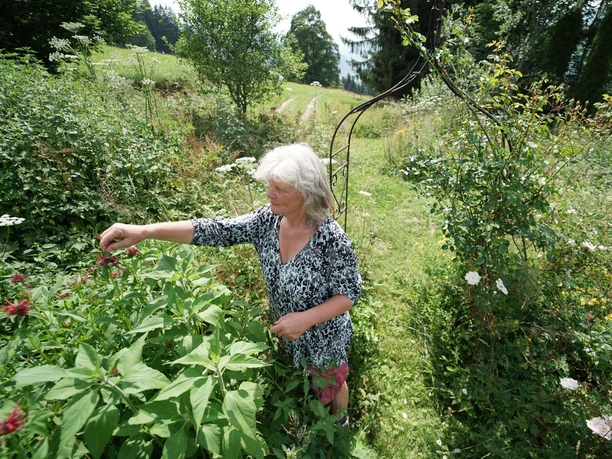 Superleichtes pflanzliches Festessen auf Allmetli Frau steht im Garten