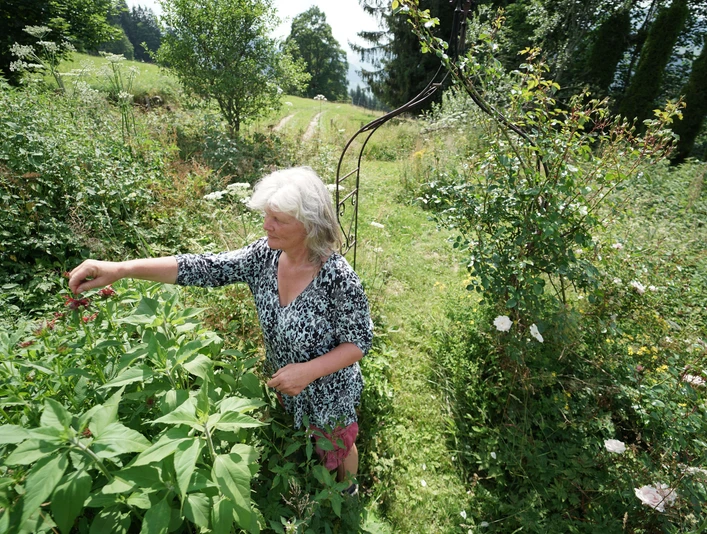 Superleichtes pflanzliches Festessen auf Allmetli