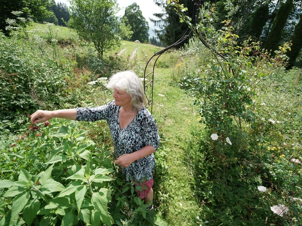 Un festin végétal super léger sur «Allmetli»