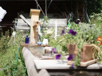 Alpine summer at the «Allmetli» Alp