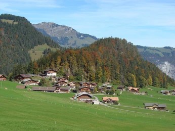 Entschwil in the Diemtigtal