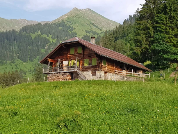 Ansehnliche Alphütte auf der Alp Krebs
