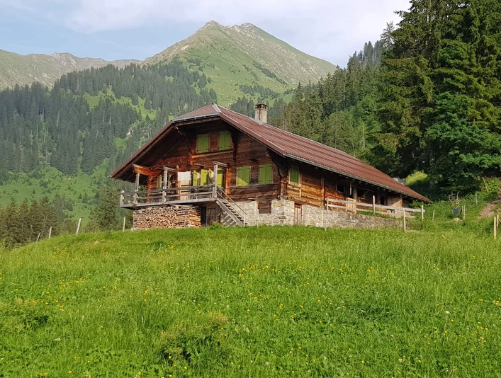 Handsome alpine hut on the «Krebs» Alp