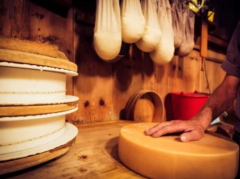 Cheese making with passion