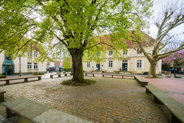 Universitätsplatz Gepflasterter Platz mit großen grünen Bäumen, Steinbänken und historischen Gebäuden im Hintergrund.