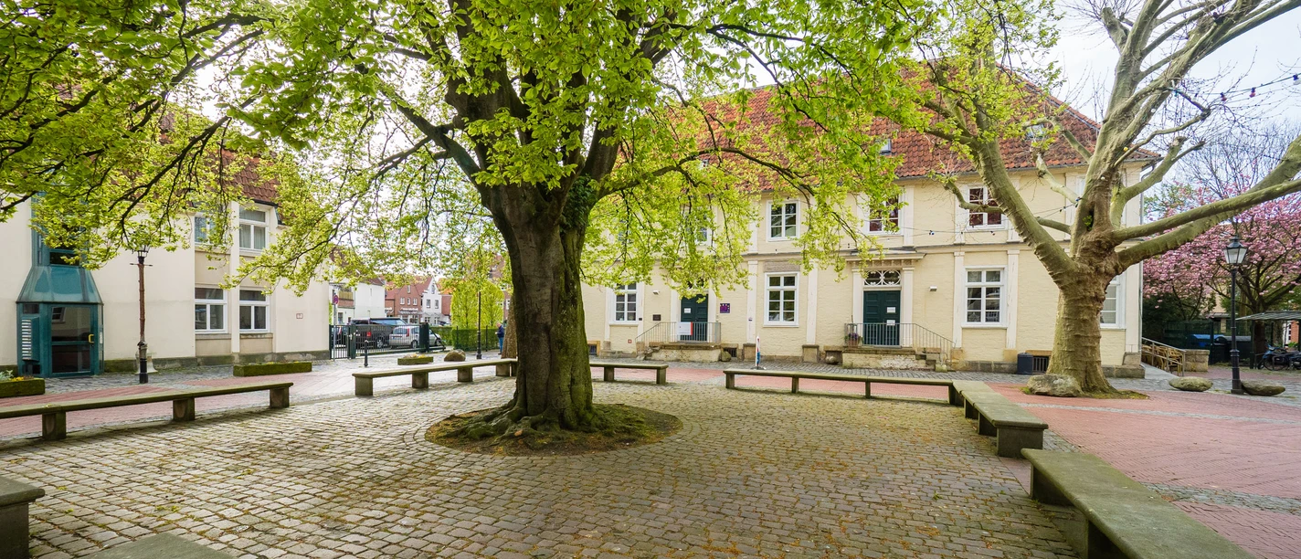 Universitätsplatz Gepflasterter Platz mit großen grünen Bäumen, Steinbänken und historischen Gebäuden im Hintergrund.
