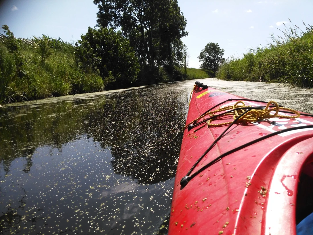 Mit dem Kanu unterwegs